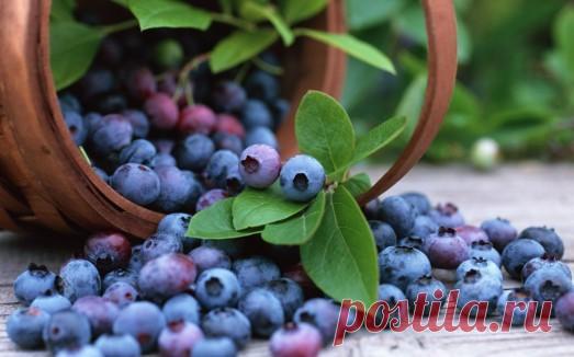 ¿Cuáles son las mejores vitaminas para la visión?