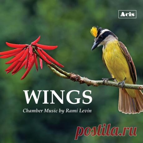 VA - Wings Chamber Music by Rami Levin (2024) [Hi-Res] free download mp3 music 320kbps