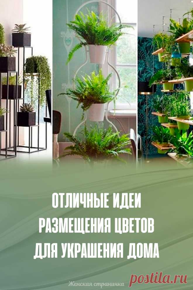 Отличные идеи размещения цветов для украшения дома