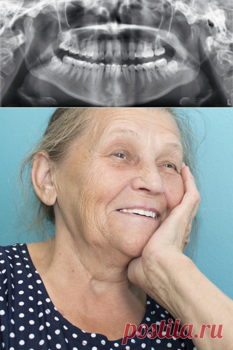 СтомАвеню. Специализированная клиника для пациентов зрелого возраста (2 вариант)