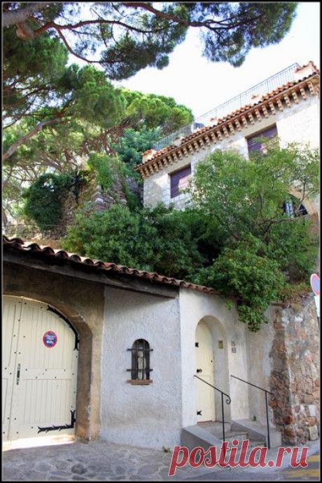 Лазурный берег, Канны. | Фотографии Светлана Верхошинская | 8083 фото