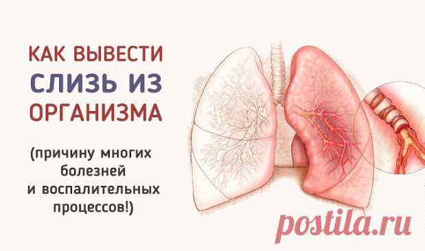 Как вывести слизь из организма и стать здоровее на 10 лет? Своевременно проведенное лечение такого неприятного процесса, как образование слизи в горле, устранит дискомфортные и даже болезненные ощущения, предупредив, таким образом, развитие серьезных патологий.