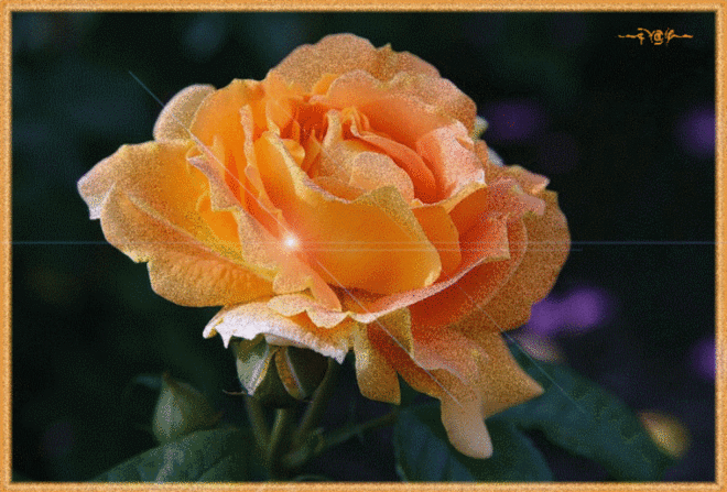 Музыкальная открытка "Букет цветов" | В гостях у тамады!