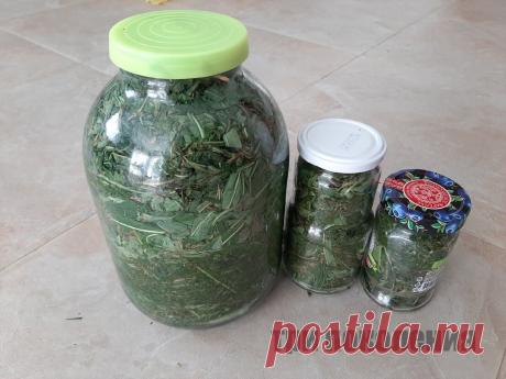 Помогала делать иван-чай в монастыре. Показываю, как теперь это делаю дома | ТРИ ПОКОЛЕНИЯ | Яндекс Дзен