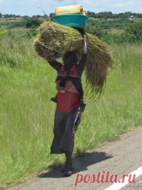 GlobAllShare™ World Society