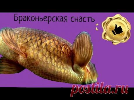 ЭТА СНАСТЬ ВЫЛОВИТ ВСЮ РЫБУ в -- 2021 !!!(конфиденциальная информация!)