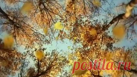 Татьяна Рузавина и Сергей Таюшев - Осенняя Мелодия