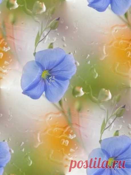 Анимированные фоны