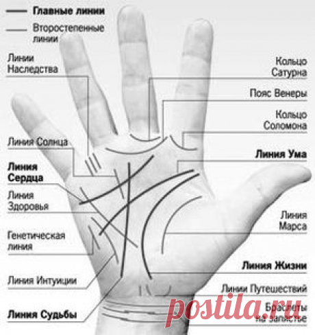 Буквы на руках. Что означают знаки а, б, в, г, д, и, к, л, м, н, п, т, у, х на ладони?