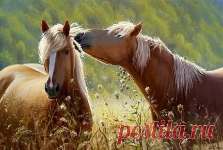 Разные темы в прекрасном творчестве Анатолия Долгополого