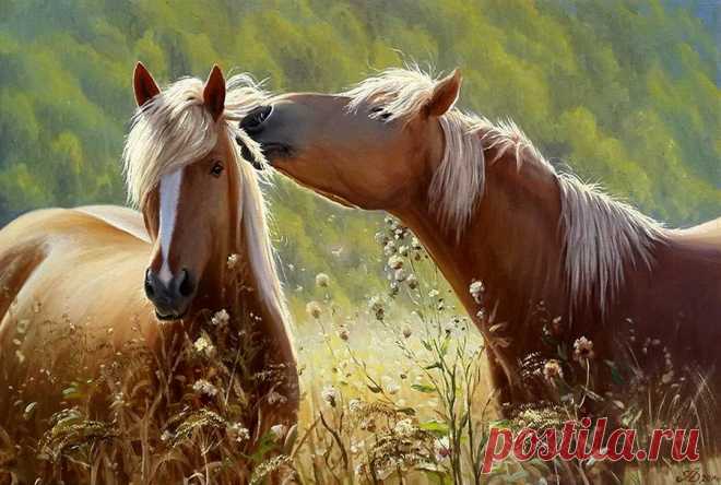 Разные темы в прекрасном творчестве Анатолия Долгополого