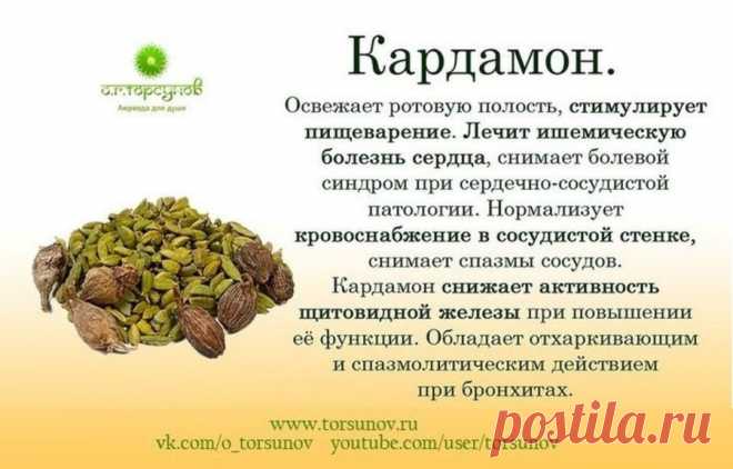 Кардамон