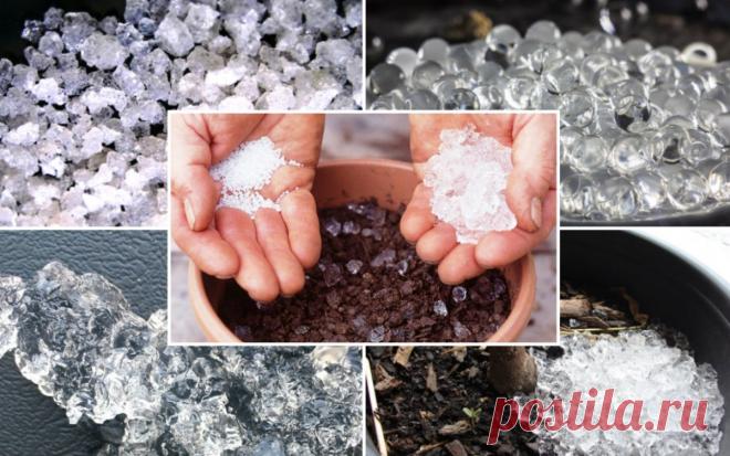 Что такое гидрогель и как его использовать в саду, огороде, цветнике