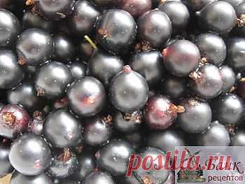 Квас из черной смородины, рецепт приготовления, фото