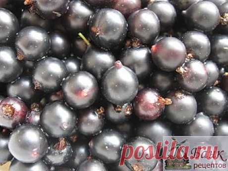 Квас из черной смородины, рецепт приготовления, фото