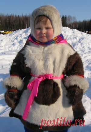 Земля кошачьего локотка