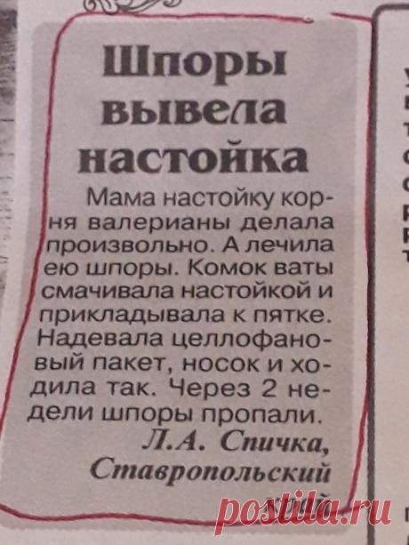 666044b9c7b118bb1755f2c51e72bd32.jpg (735×980)