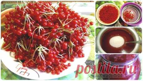Калина протёртая с сахаром