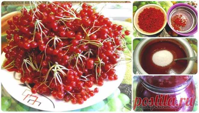 Калина протёртая с сахаром