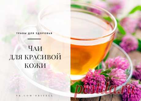 ٠•● Травник • Чаи для красивой кожи ●•٠ 
 чтения: ~ 4 минуты

Для красоты и здоровья кожи существует множество средств, однако мы зачастую забываем, что применение их — это только половина решения проблемы. Вторая половина — это питание и очищение изнутри.
Показать полностью…