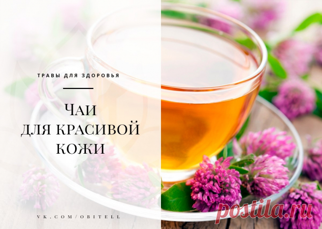 ٠•● Травник • Чаи для красивой кожи ●•٠ 
 чтения: ~ 4 минуты

Для красоты и здоровья кожи существует множество средств, однако мы зачастую забываем, что применение их — это только половина решения проблемы. Вторая половина — это питание и очищение изнутри.
Показать полностью…