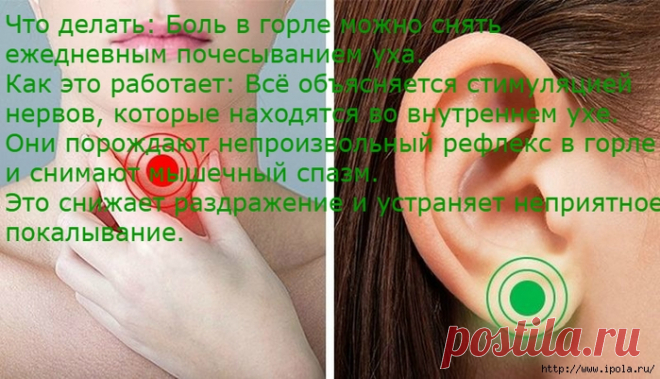 Массаж этих 9 точек избавит от неприятных ощущений
