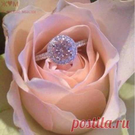 Один много говорил, второй много писал. А третий надел кольцо на палец и делает ее счастливой каждый день!...ж♥м