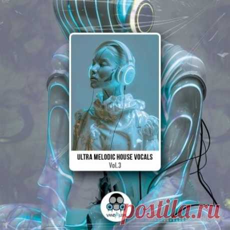 Vandalism Ultra Melodic House Vocals 3 [WAV, MiDi] free download mp3 music 320kbps