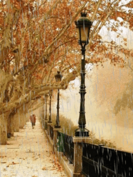 1358667.gif (240×320)