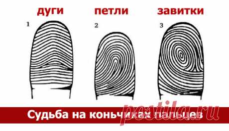 Судьба на коньчиках пальцев 
Вся информация о нашем характере, способностях, болезнях буквально нарисована на подушечках пальцев. Пальцевые узоры закладываются еще в утробе матери на 3–5-м месяце беременности вместе с тканями не…