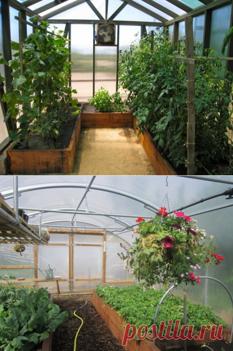 Как использовать теплицу на даче максимально эффективно?