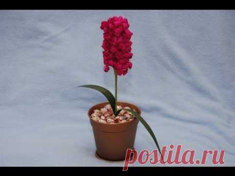 Гиацинт из конфет. мастер класс. | Страна Мастеров