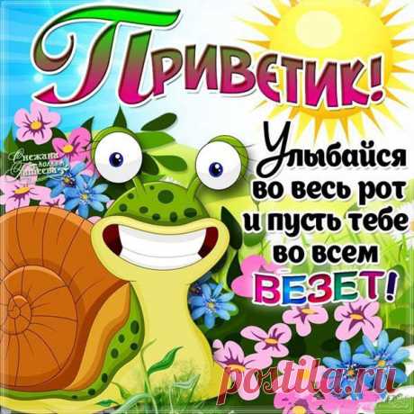 Открытки Приветик  Скачать бесплатно открытку Привет
