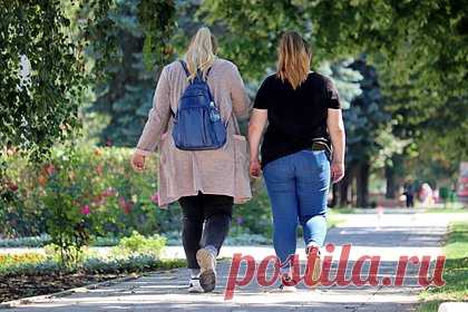 Потери экономики России от ожирения оценили