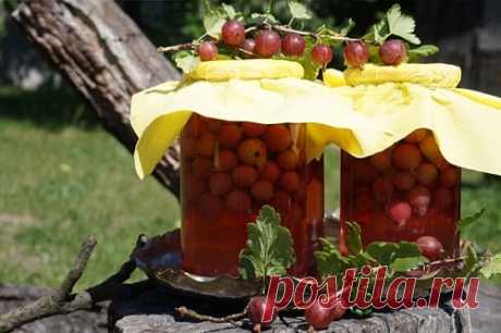 Компот из крыжовника на зиму - 12 самых вкусных рецептов