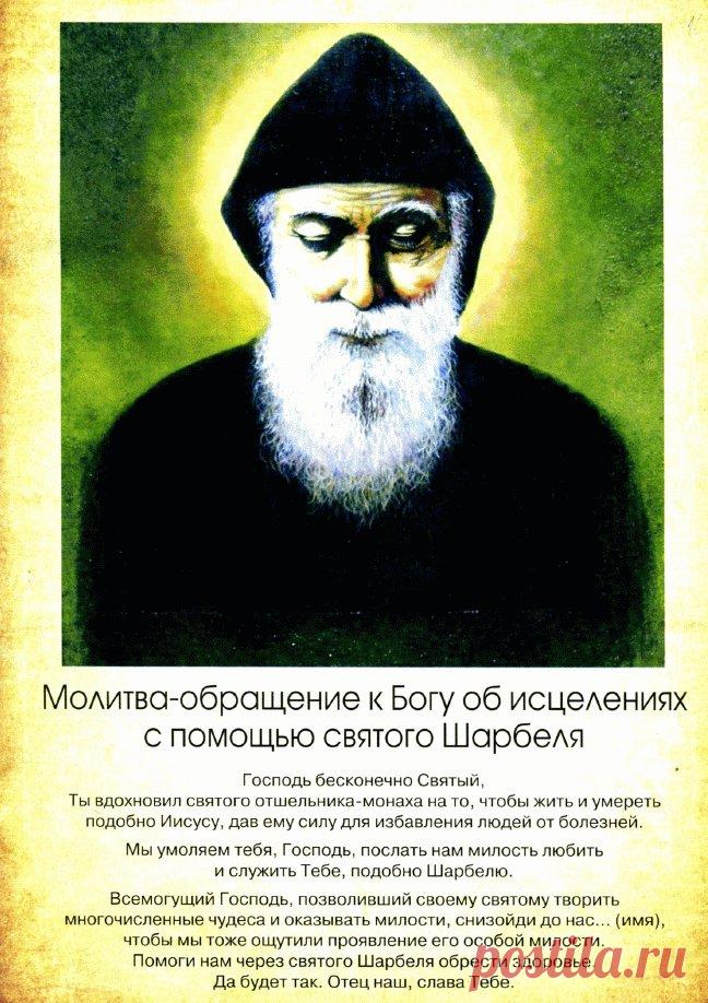 Святой который лечил. Шарбель махлуф. Святой шарбель исцеляющая икона. Святой монах шарбель. Целители которые помогают.