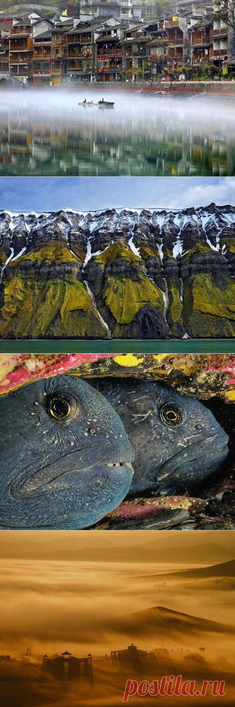 Лучшие фотографии National Geographic / Всё самое лучшее из интернета