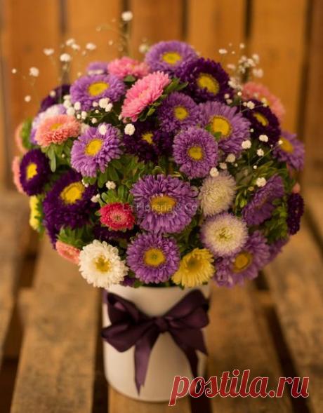 Дорогие Учителя, с праздником!