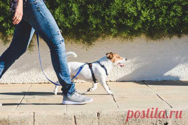 Разговорные выражения со словом "walk", которые вам нужно знать | Английский язык | Start2Study | Яндекс Дзен