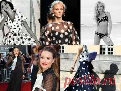 Принты сезона