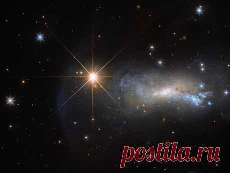Недавно «Хаббл» заснял спиральную галактику NGC 7250 в созвездии Ящерицы. Все бы хорошо, но яркий свет галактики практически незаметен: его перекрывает мощное свечение звезды TYC 3203−450−1.