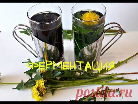 🍇Чай из листьев одуванчика.  Доска для скручивания листьев.