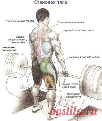 СТАНОВАЯ ТЯГА: ПОДРОБНО / Спорт Сильных!