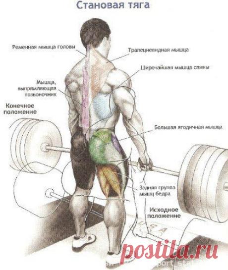 СТАНОВАЯ ТЯГА: ПОДРОБНО / Спорт Сильных!