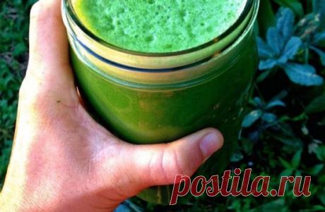 Лечение соком лопуха — старое проверенное средство
В народной медицине соком из свежих листьев лопуха успешно лечат разнообразные кисты. Лопух справляется с кистами на почках, кистами матки и яичников у женщин. Лечение соком лопуха длительное и требует дисциплины, зато, раз пролечившись этим средством, от кисты, как правило, удаётся избавиться навсегда и не прибегая к хирургическому вмешательству.
Лопух — старое проверенное средство. Перед его силой сдаются даже миомы, фибромы и другие новообра