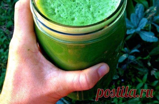 Лечение соком лопуха — старое проверенное средство
В народной медицине соком из свежих листьев лопуха успешно лечат разнообразные кисты. Лопух справляется с кистами на почках, кистами матки и яичников у женщин. Лечение соком лопуха длительное и требует дисциплины, зато, раз пролечившись этим средством, от кисты, как правило, удаётся избавиться навсегда и не прибегая к хирургическому вмешательству.
Лопух — старое проверенное средство. Перед его силой сдаются даже миомы, фибромы и другие новообра