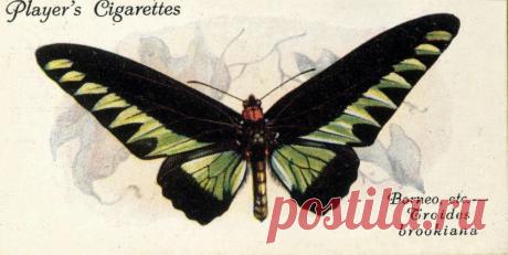 Декупаж в Кургане