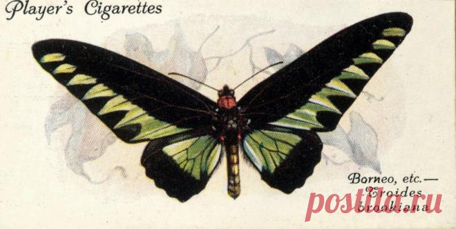 Декупаж в Кургане