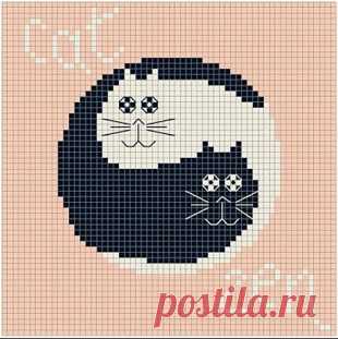 Схемы котов