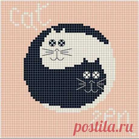 Схемы котов